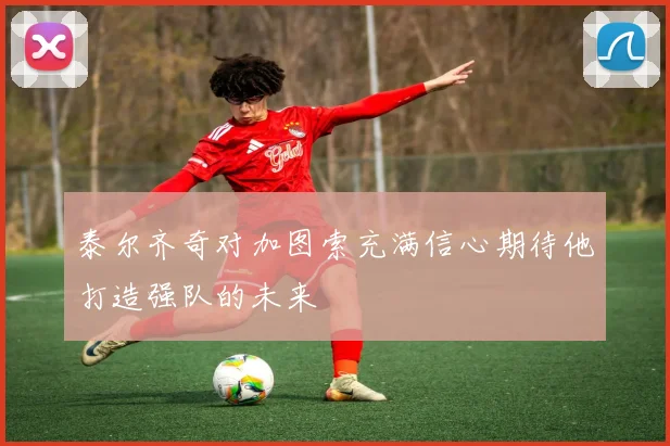 泰尔齐奇对加图索充满信心期待他打造强队的未来