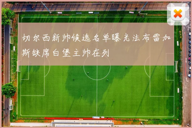 切尔西新帅候选名单曝光法布雷加斯缺席白堡主帅在列