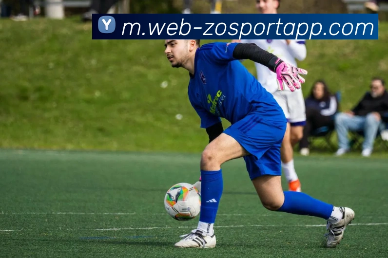 中欧体育平台生态图