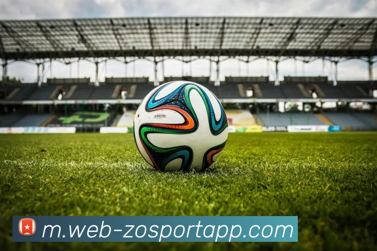 中欧体育全站App